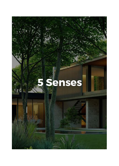 5-senses