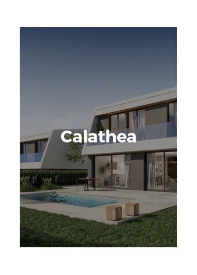 calathea